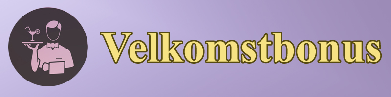 Velkomstbonus: Casino Bonus Guide header